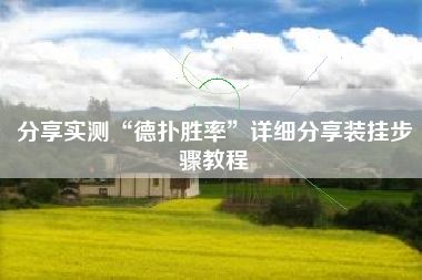 分享实测“德扑胜率”详细分享装挂步骤教程