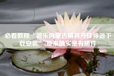 必看教程“微乐内蒙古麻将开挂神器下载安装”(原来确实是有插件