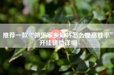 推荐一款“微乐家乡麻将怎么提高胜率”开挂辅助详细