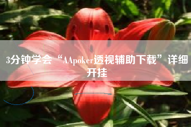 3分钟学会“AApoker透视辅助下载”详细开挂