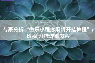 专家分析“微乐小程序麻将开挂教程”(透视)开挂详细教程