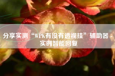 分享实测“WPK有没有透视挂”辅助器 - 实时智能回复