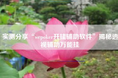 实测分享“wepoker开挂辅助软件”揭秘透视辅助万能挂