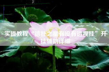 实操教程“德扑之星有没有透视挂	”开挂辅助详细
