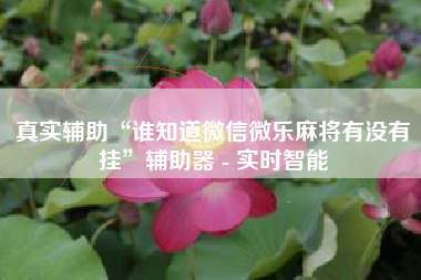 真实辅助“谁知道微信微乐麻将有没有挂”辅助器 - 实时智能