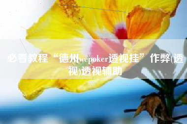 必看教程“德州wepoker透视挂	”作弊(透视)透视辅助