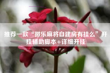 推荐一款“微乐麻将自建房有挂么”开挂辅助脚本+详细开挂