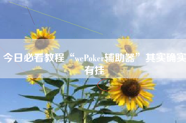 今日必看教程“wePoker辅助器”其实确实有挂