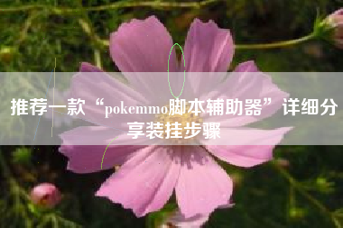 推荐一款“pokemmo脚本辅助器”详细分享装挂步骤