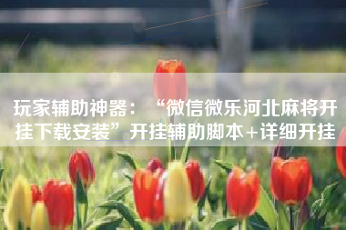 玩家辅助神器：“微信微乐河北麻将开挂下载安装”开挂辅助脚本+详细开挂