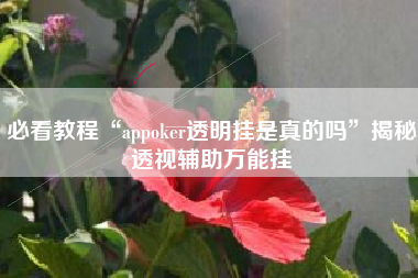 必看教程“appoker透明挂是真的吗	”揭秘透视辅助万能挂