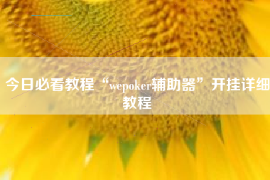 今日必看教程“wepoker辅助器	”开挂详细教程