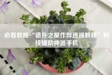 必看教程“德扑之星作弊透视教程”科技辅助神器手机