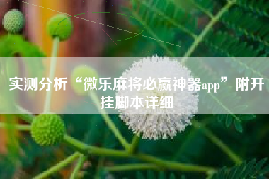 实测分析“微乐麻将必赢神器app”附开挂脚本详细