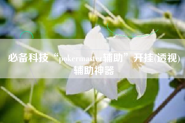 必备科技“pokermaster辅助”开挂(透视)辅助神器