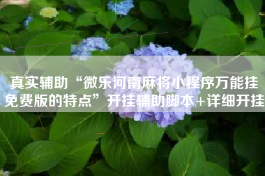 真实辅助“微乐河南麻将小程序万能挂免费版的特点”开挂辅助脚本+详细开挂