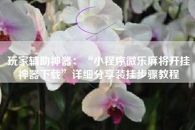 玩家辅助神器：“小程序微乐麻将开挂神器下载	”详细分享装挂步骤教程