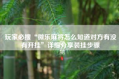 玩家必搜“微乐麻将怎么知道对方有没有开挂”详细分享装挂步骤