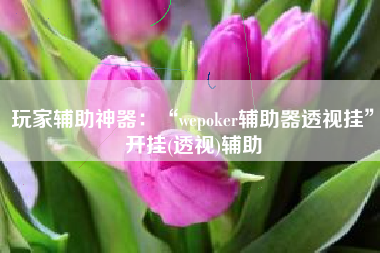 玩家辅助神器：“wepoker辅助器透视挂”开挂(透视)辅助