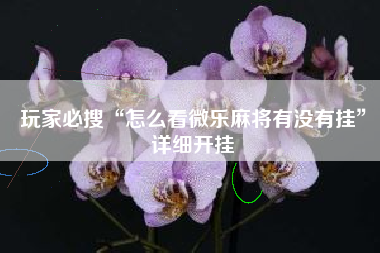 玩家必搜“怎么看微乐麻将有没有挂”详细开挂