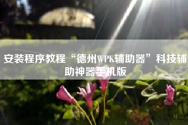 安装程序教程“德州WPK辅助器”科技辅助神器手机版