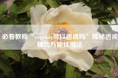 必看教程“wepoker可以透视吗”揭秘透视辅助万能挂用法