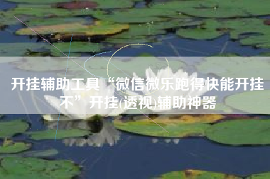 开挂辅助工具“微信微乐跑得快能开挂不	”开挂(透视)辅助神器