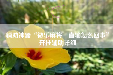 辅助神器“微乐麻将一直输怎么回事	”开挂辅助详细