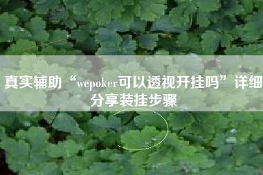 真实辅助“wepoker可以透视开挂吗”详细分享装挂步骤