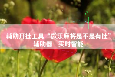 辅助开挂工具“微乐麻将是不是有挂”辅助器 - 实时智能