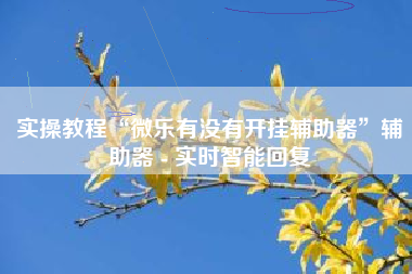 实操教程“微乐有没有开挂辅助器	”辅助器 - 实时智能回复