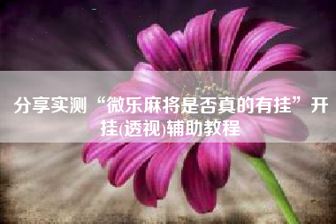 分享实测“微乐麻将是否真的有挂”开挂(透视)辅助教程