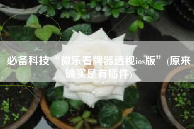 必备科技“微乐看牌器透视ios版	”(原来确实是有插件)