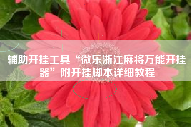 辅助开挂工具“微乐浙江麻将万能开挂器	”附开挂脚本详细教程