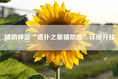 辅助神器“德扑之星辅助器	”详细开挂