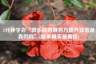 3分钟学会“微乐陕西麻将万能开挂器是真的吗”(原来确实是有挂)