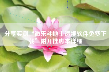 分享实测“微乐斗地主透视软件免费下载	”附开挂脚本详细