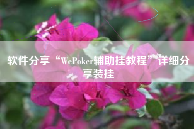 软件分享“WePoker辅助挂教程	”详细分享装挂