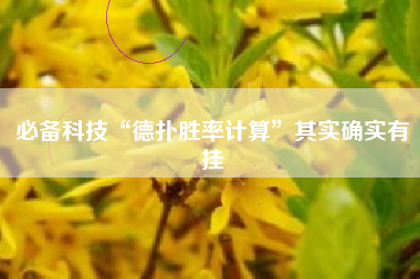 必备科技“德扑胜率计算”其实确实有挂