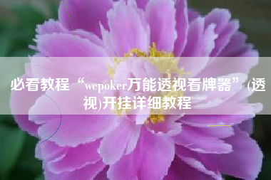 必看教程“wepoker万能透视看牌器”(透视)开挂详细教程