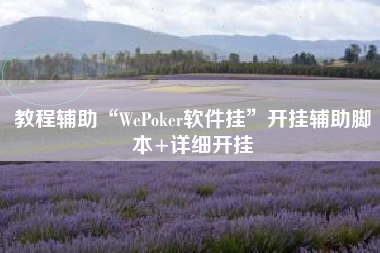 教程辅助“WePoker软件挂”开挂辅助脚本+详细开挂