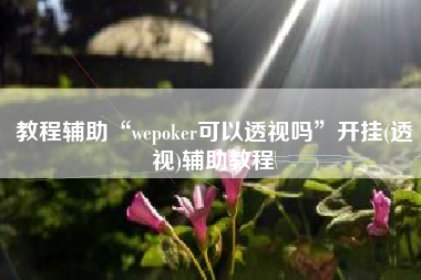 教程辅助“wepoker可以透视吗	”开挂(透视)辅助教程