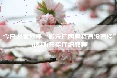今日必看教程“微乐广西麻将有没有挂	”(透视)开挂详细教程