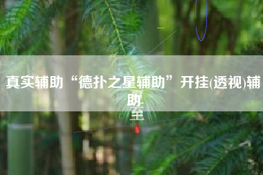 真实辅助“德扑之星辅助”开挂(透视)辅助