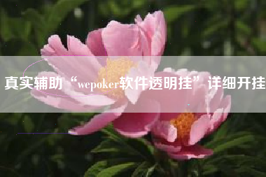 真实辅助“wepoker软件透明挂	”详细开挂