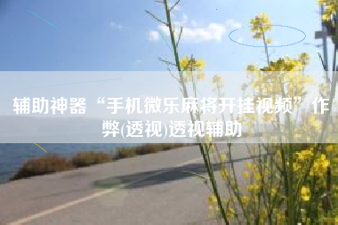 辅助神器“手机微乐麻将开挂视频”作弊(透视)透视辅助