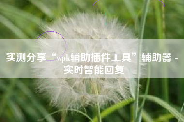 实测分享“wpk辅助插件工具	”辅助器 - 实时智能回复